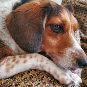 Meet your Posher, Joanne